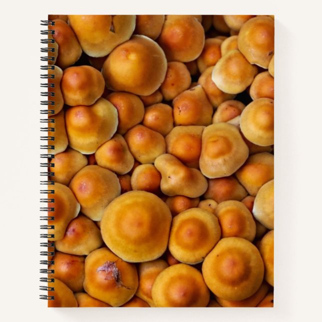 Cuaderno Mushrooms Fungus (Anverso)