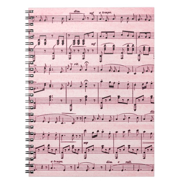 Cuaderno Música de hoja rosa (Frente)