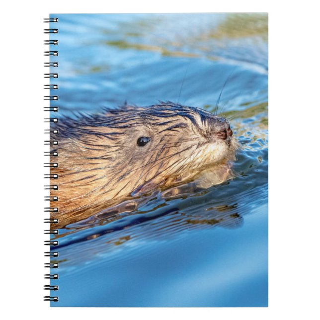 Cuaderno Muskrat en la Reserva Ecológica de las Granjas de  (Frente)