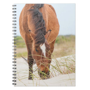 Cuaderno Mustangs salvajes o caballos banqueros