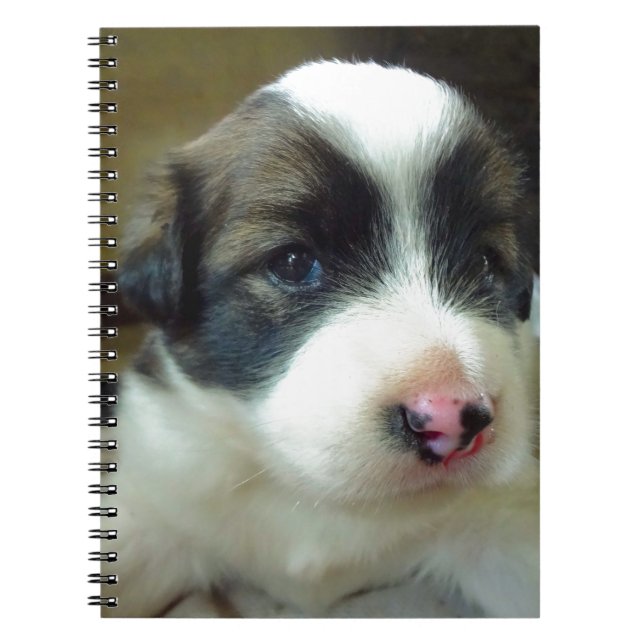 Cuaderno Muy Joven Cachorro Que Se Ve Cuidadoso (Frente)