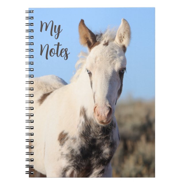 Cuaderno My Notes Wilse Horse Thora (Frente)