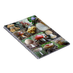 Cuaderno MycoJournal