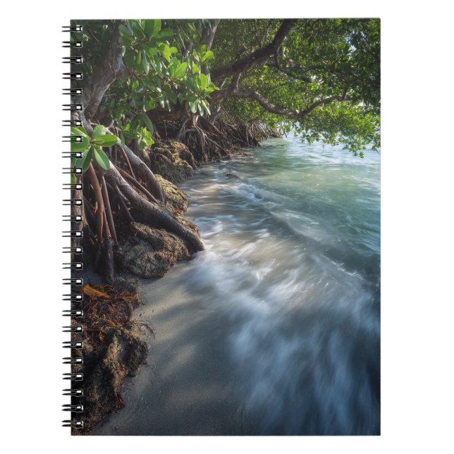 Cuaderno Mystical Mangrove Shoreline Ocean Scene (Frente)