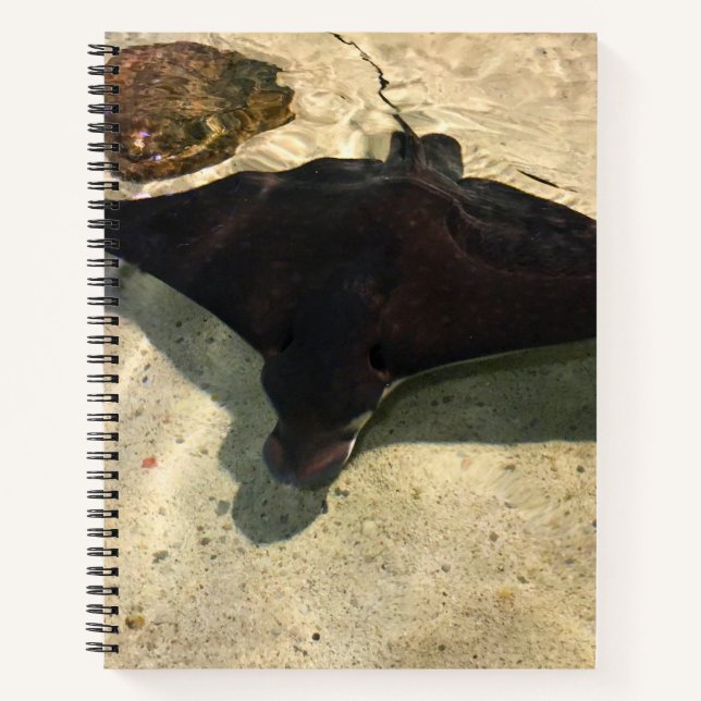 Cuaderno Mystical Stingray (Anverso)