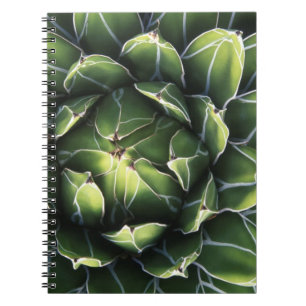 Cuaderno N.A., EE. UU., Arizona, Tucson, Desierto de Sonora