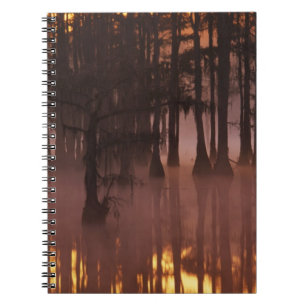 Cuaderno N.A., EE. UU., Georgia, George Smith State Park.