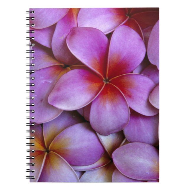 Cuaderno N.A., EE. UU., Maui, Hawái. Flores de plumeria ros (Frente)