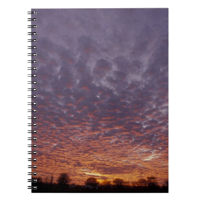 Cuaderno N.A., EE.UU., Nuevo México, cerca de Las Cruces, (Frente)