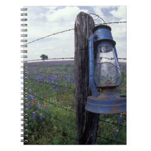Cuaderno N.A., EE. UU., Texas, Llano, Linterna Azul, Roble