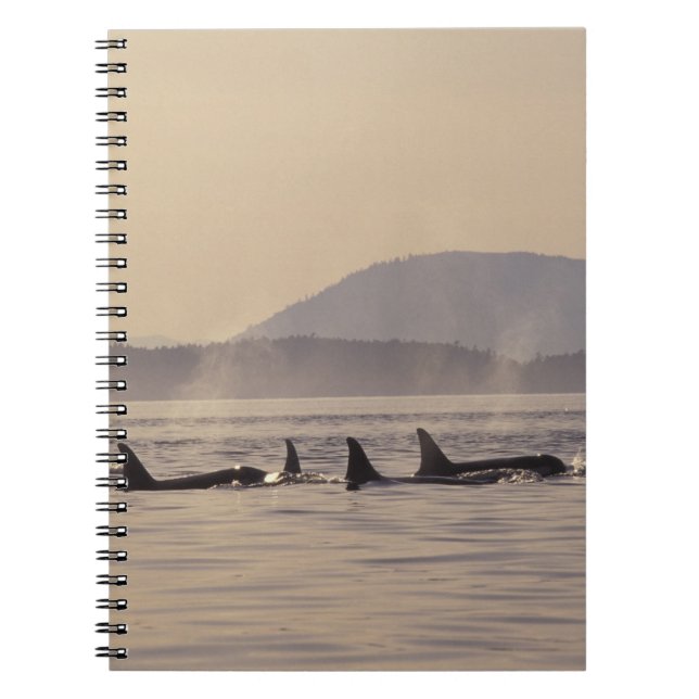 Cuaderno N.A., EE.UU., Washington, Islas San Juan Orca (Frente)