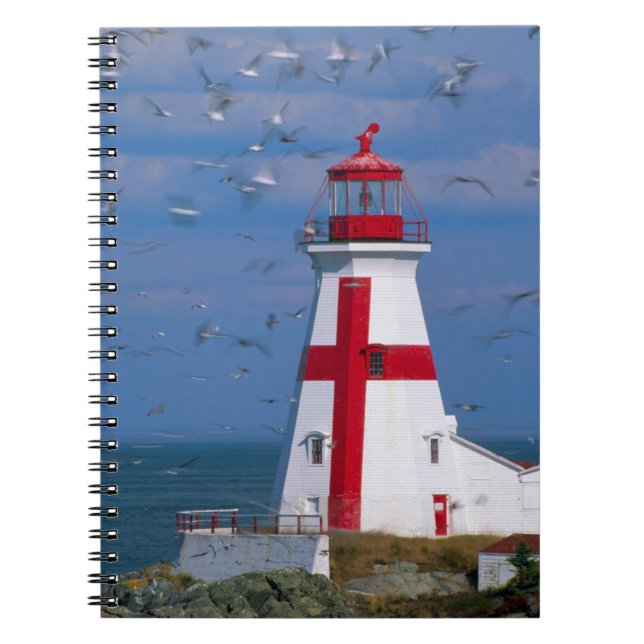 Cuaderno NA, Canadá, Nuevo Brunswick, Isla Campobello. 8 (Frente)