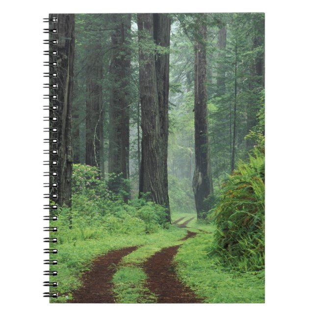 Cuaderno NA, EE. UU., California. Parque estatal Del Norte  (Frente)