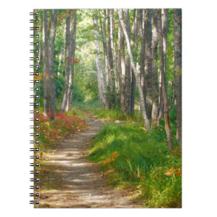 Cuaderno NA, EE. UU., Maine. Sendero Jessup en Acadia Nati