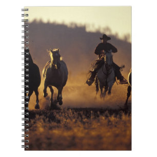 Cuaderno NA, EE. UU., Oregón, Seneca, Ponderosa Ranch, Vaqu