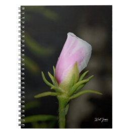 Cuaderno Nacimiento de un bloc de notas Rosa
