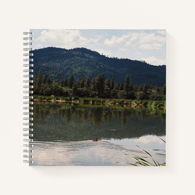 Cuaderno Nadando solo...... (Anverso)