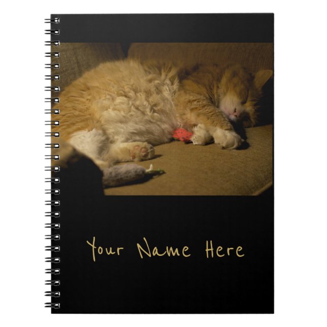 Cuaderno Napa de gato (Frente)