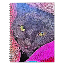 Cuaderno Napoleón en una manta