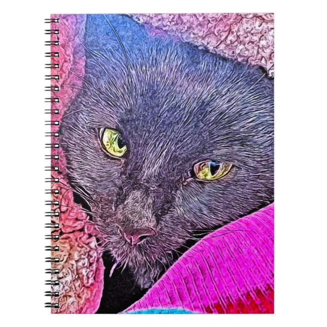 Cuaderno Napoleón en una manta (Frente)