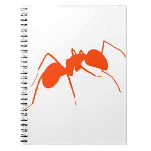 Cuaderno Naranja Ant