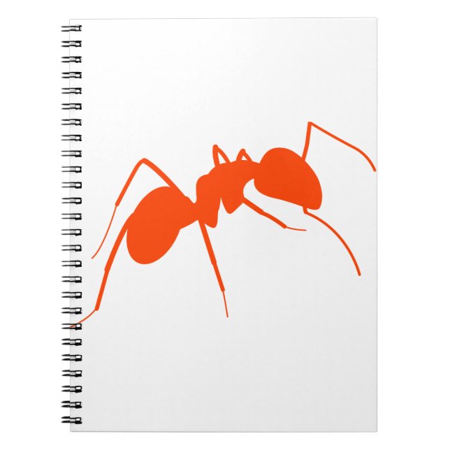 Cuaderno Naranja Ant (Frente)