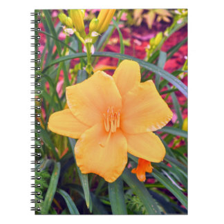 Cuaderno Naranja brillante Lily