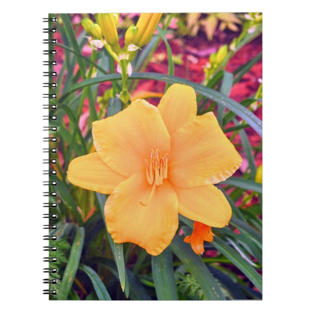 Cuaderno Naranja brillante Lily (Frente)