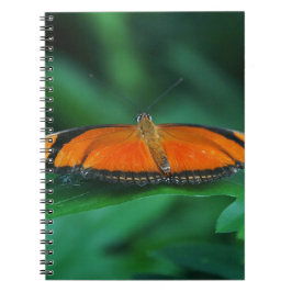 Cuaderno Naranja brillante y mariposa negra en hoja