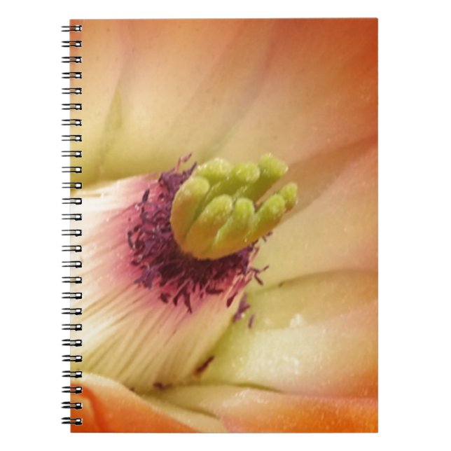 Cuaderno Naranja Cactus Flower (Frente)