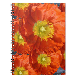 Cuaderno Naranja colorido brillante Tángerina Flor de amapo