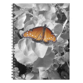 Cuaderno Naranja de la Naturaleza Monarch Butfly Photo Blac