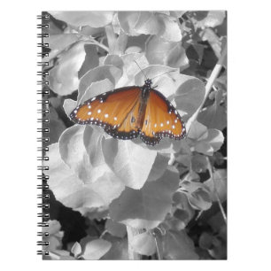 Cuaderno Naranja de la Naturaleza Monarch Butfly Photo Blac