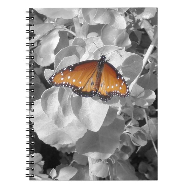 Cuaderno Naranja de la Naturaleza Monarch Butfly Photo Blac (Frente)