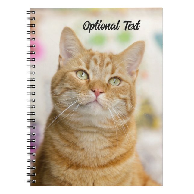Cuaderno Naranja dulce personalizado Tabby Cat (Frente)