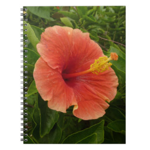 Cuaderno Naranja Hibiscus Flower Tropical Floral