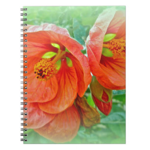 Cuaderno Naranja Hibiscus Flowers