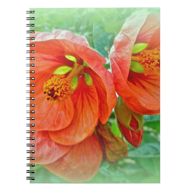 Cuaderno Naranja Hibiscus Flowers (Frente)
