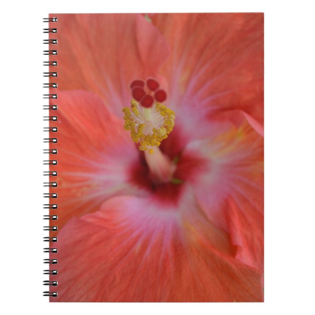 Cuaderno Naranja Hibiscus Notebook (Frente)