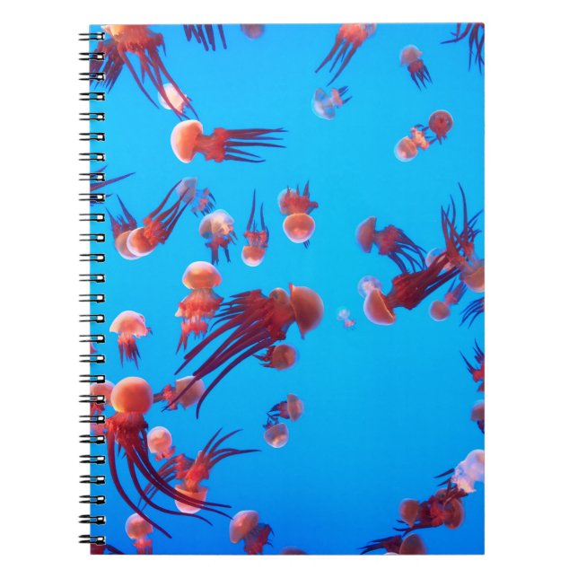 CUADERNO NARANJA JELLY FISH (Frente)