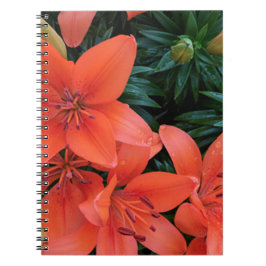 Cuaderno Naranja Lily
