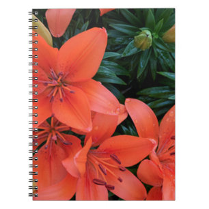 Cuaderno Naranja Lily