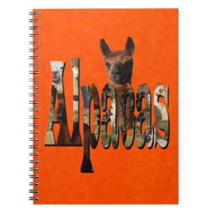 Cuaderno Naranja luminoso Alpaca,