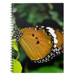 Cuaderno Naranja, mariposa negra y blanca en hojas