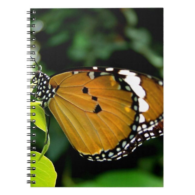 Cuaderno Naranja, mariposa negra y blanca en hojas (Frente)
