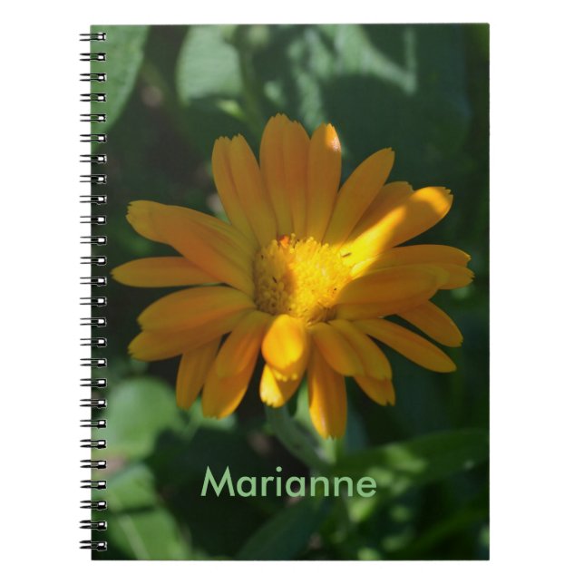 Cuaderno Naranja Pot Marigold Flower Personalizada (Frente)
