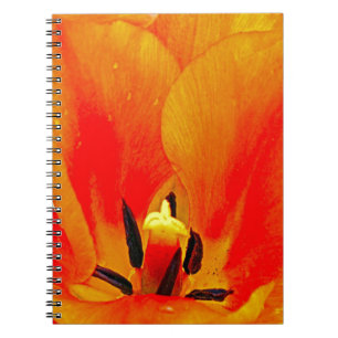 Cuaderno Naranja Tulip