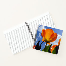 Cuaderno Naranja Tulip, cielo azul
