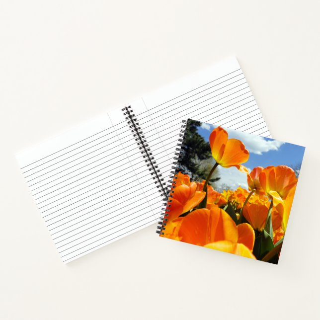 Cuaderno Naranja Tulip llegando al cielo (Interior)