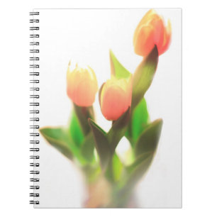 Cuaderno Naranja Tulips